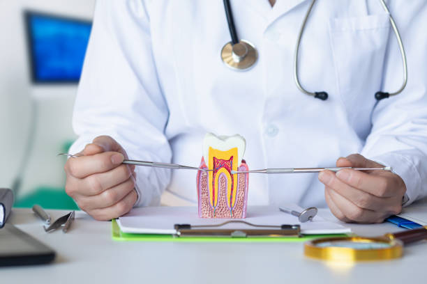 Best Emergency Tooth Extraction in Kane, PA